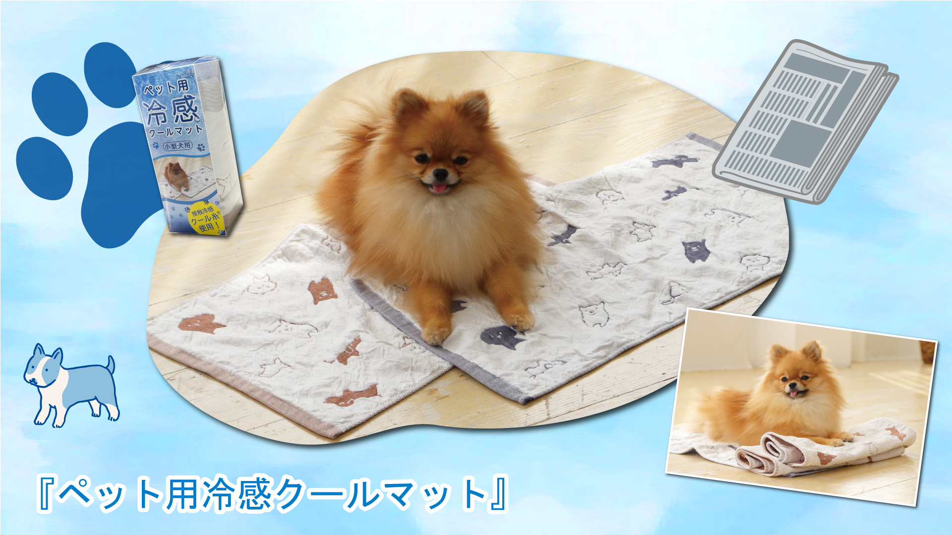 ペット用冷感クールマットが読売新聞全国版の朝刊に掲載されました